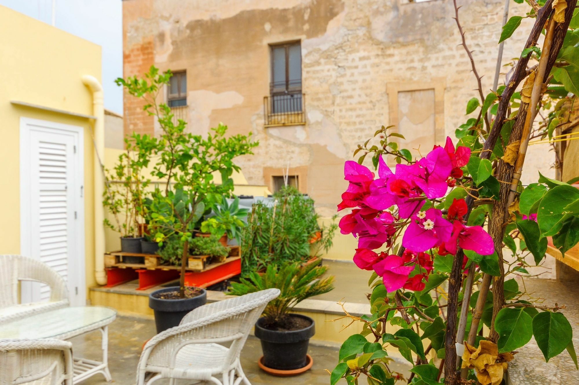 Le Vie Di Trapani Apartment Exterior photo